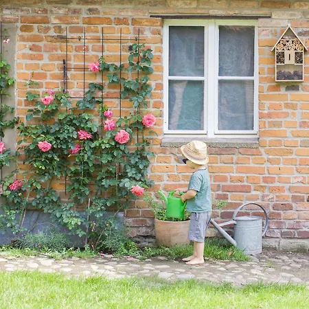 Altes Backhaus Appartement *